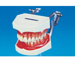 Demonstrationsmodelle