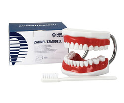 Demonstrationsmodelle